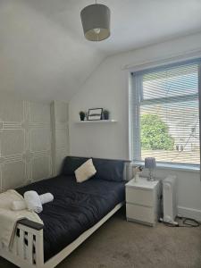 Cosy flat in Cardiff