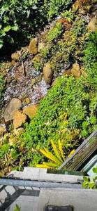 Hilltop Retreat near Kandy Lake - Kings Residence