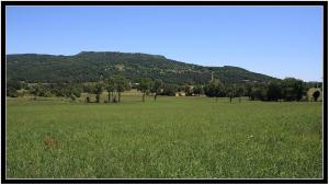 Campings La Roulotte des Bords de l'Ance : photos des chambres