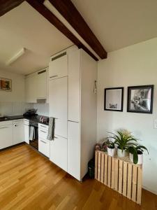 Cosy room in attic flat in the center of Zurich