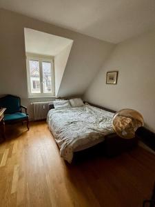 Cosy room in attic flat in the center of Zurich