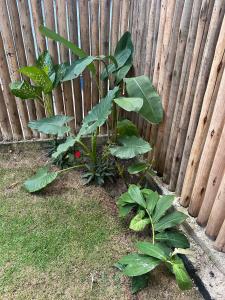 Casas Ester Brito - Arraial DAjuda