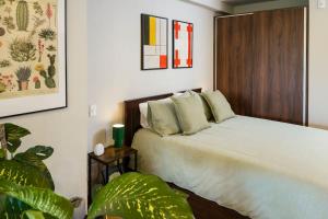 Roma Norte Retreat - CDMX Vibes