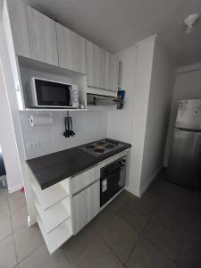 Departamento nuevo, a pasos del faro , mall, rica gastronomía