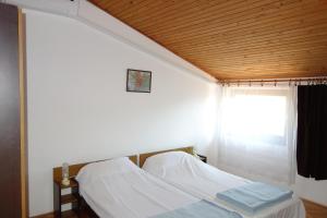 Apartment Blaskovic