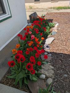 AG House, Recreaters,Work Remote, Surgery, Healing ADA, Pets, Parking