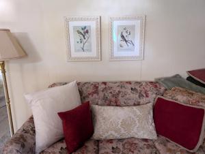 AG House, Recreaters,Work Remote, Surgery, Healing ADA, Pets, Parking