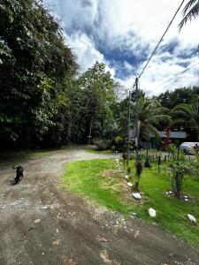 Mata palo beach club