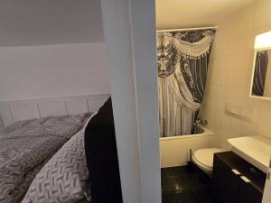 Great Double Apart in Old Town Bern