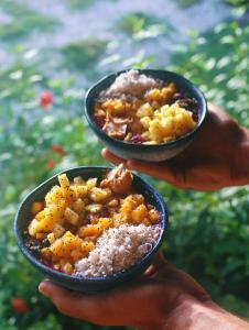 Mentawai Surfing Fishing