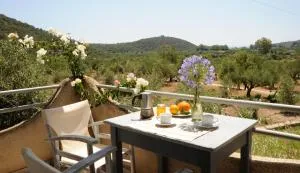 Nefeli Studios - Vathi