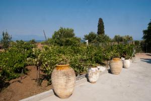 Garden Villas Messinia Greece