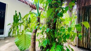 Small quiet private house