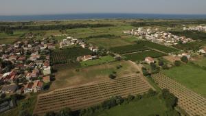 Suite with Garden View room in Apartments Rudaj