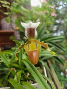 Dang Khoa Garden Inn