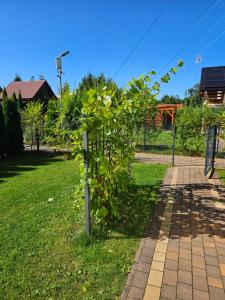 OSADA CZTERY PORY ROKU -DOM LATO