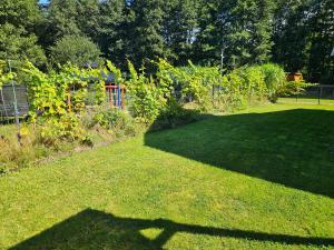 OSADA CZTERY PORY ROKU - DOM JESIEN