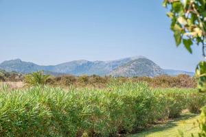 Mallorquin Oasis with natural pool 5min from the beach