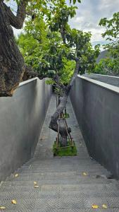 inchantreemeedao