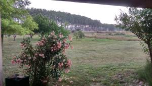 Évasion provençale