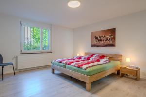 Entire House, Terrace, Garden, BBQ, 3 TVs - Zurich Region