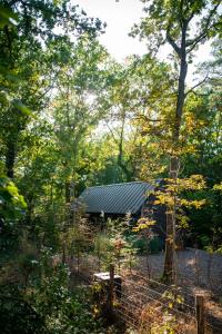 Inarden Yosemite Cabin