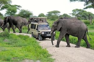 Issah tours and safari guide tz