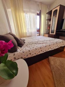 Bulevard View Studio