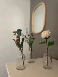 Le nid des Coin Coins