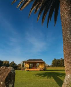 Allure - Your Auckland Wellbeing Sanctuary