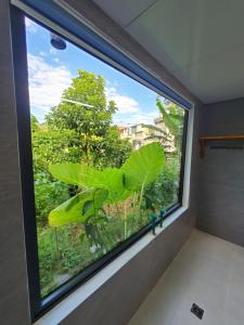 Trutinas Home - City Loop & Exploration