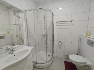 Spacious Worker Apartments with Rooftop Terrace - Up to 21 Guests