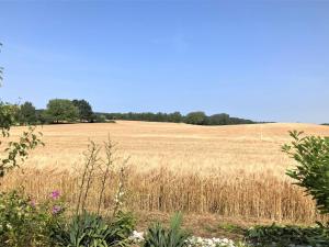 Holiday Home Asya - 600m from the sea by Interhome