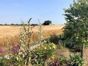 Holiday Home Asya - 600m from the sea by Interhome