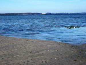 Holiday Home Eddy - 50m from the sea by Interhome