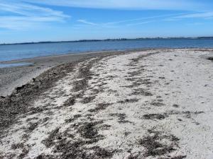 Holiday Home Eddy - 50m from the sea by Interhome