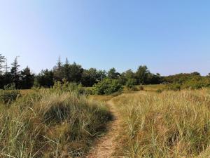 Holiday Home Myrra - 10m from the sea by Interhome