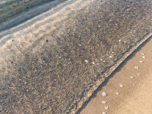 Holiday Home Stacie - 10m from the sea by Interhome