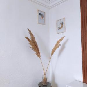 charming small villa with garden near to the beach