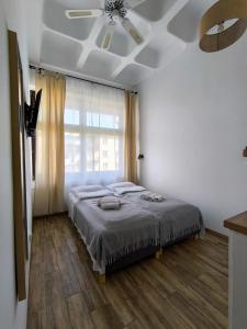 Place4You Studio w Sercu Ostródy