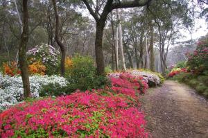 Cooinda Mountain Retreat