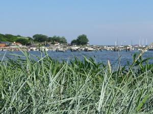 Holiday Home Veselin - 100m from the sea by Interhome