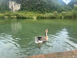 Cát Trắng 505TK21