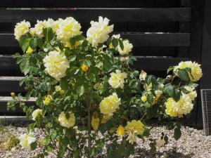 Holiday Home Hortensia - 350m from the sea by Interhome