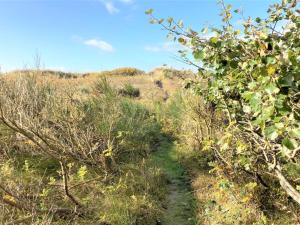 Holiday Home Osa - 150m from the sea by Interhome