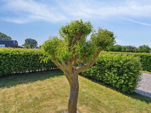 Holiday Home Inge - 300m from the sea by Interhome