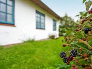 Holiday Home Clausina - 600m from the sea by Interhome