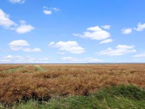 Apartment Skarpe by Interhome