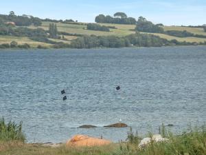 Holiday Home Elain - from the sea by Interhome