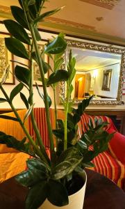 Hotel Corte Contarina